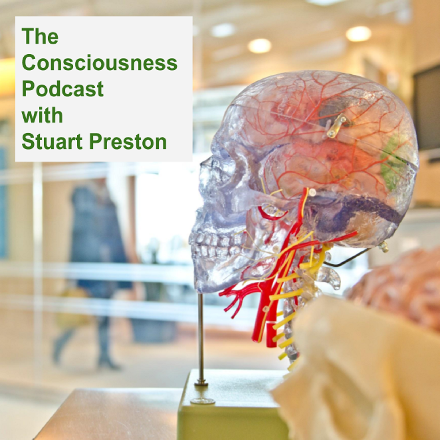 The Consciousness Podcast